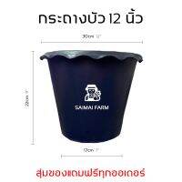 ? กระถางบัว (ไม่มีรู) ราคาส่ง 12 นิ้ว | Lotus pot (no holes) wholesale price 12 inches