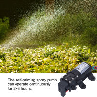 3308 ไดอะแฟรมปั๊ม Self Priming Spray Pump สำหรับสวนชลประทานล้างรถ 12V 70W