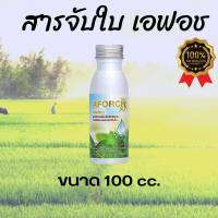 เอฟอช Aforch ( 100 ml )สารจับใบ ชนิดเร่งดูดซึมไว ของแท้ 100% ใช้ได้กับทุกพืช