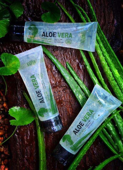 kapor-aloe-vera-fresh-and-gentle-gel-เจลว่านหางจระเข้ผสมใบบัวบก-และสารสกัดออร์แกนิค-90-มล-5-หลอด