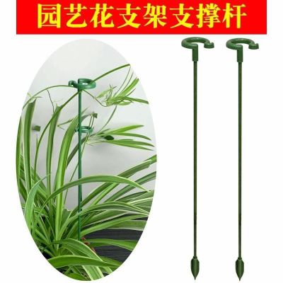 [COD] support rod Phalaenopsis hanging bracket succulent flower anti-fall rose plant frame