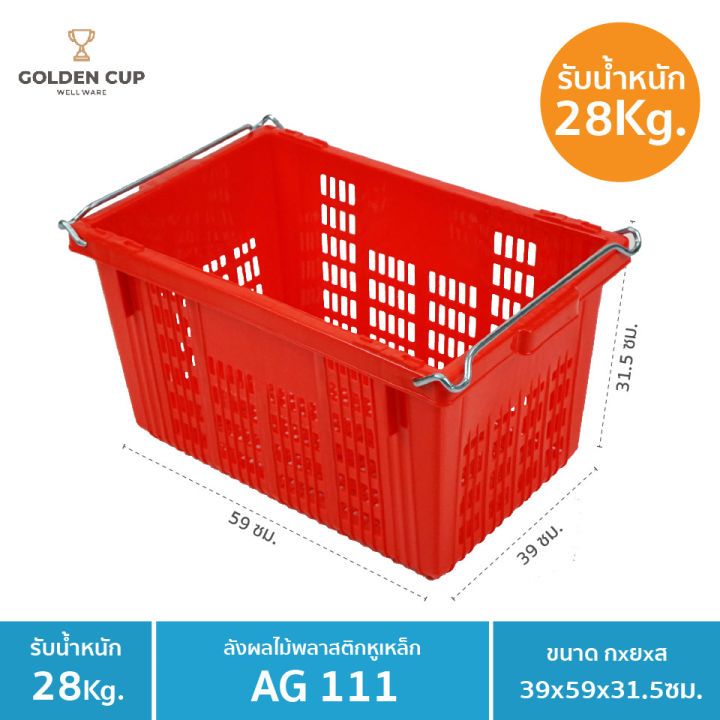 golden-cup-ลังพลาสติกหูเหล็ก-ag111