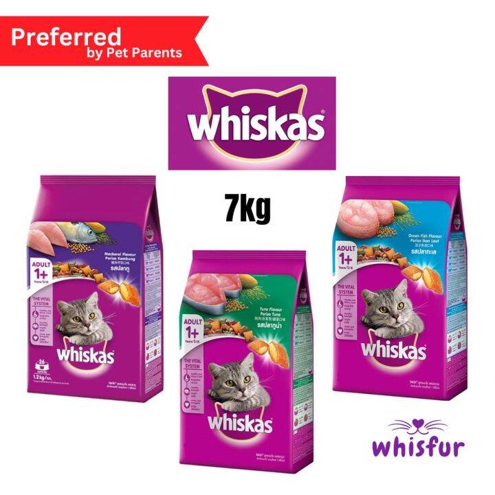 Whiskas Dry Food for Cat 7kg Whiskas Junior Ocean Fish with Milk Dry