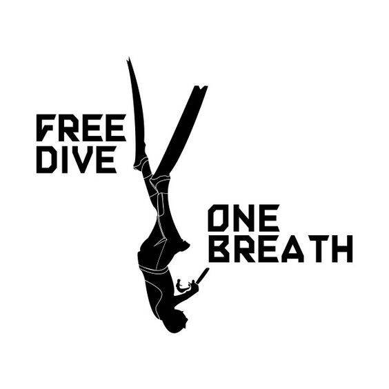 Waterproof Vinyl Stickers for Free divers & Scuba divers Lazada PH