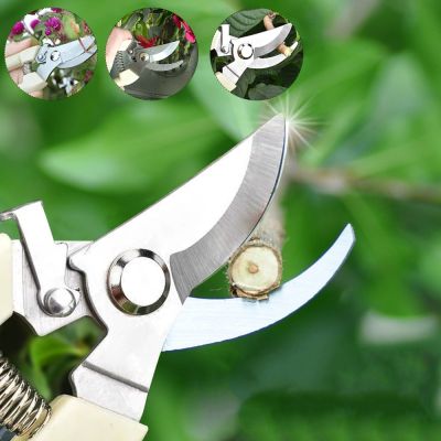 [2023ใหม่] กรรไกรตัดเล็มตัดแต่งกิ่งไม้เครื่องตัดต้นไม้เครื่องมือตัดสแตนเลสอุปกรณ์ทำมือกันลื่นสำหรับบ้านสวน