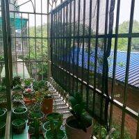 Black Sun Shade Net Outdoor Garden Sunscreen Sunblock Shading Net Balcony Courtyard Orchid Succulent Sun Shelter