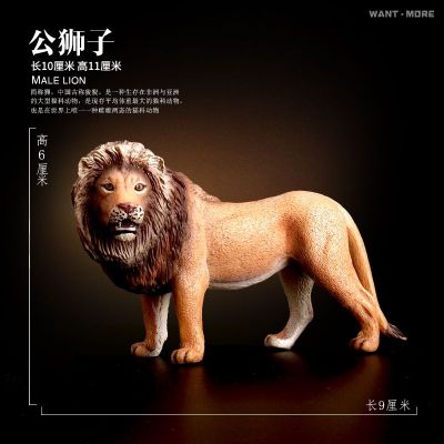 Play the lion king music simulation wildlife model dragon of African cheetah old Wolf childrens toys