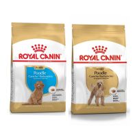 Royal canin Poodle Puppy / Adult อาหารลูกสุนัข และ สุนัขโต พันธุ์พุดเดิ้ล ขนาด 1.5 KG