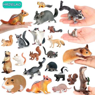 ZZOOI NEW Realistic Wild Forest Animal Mouse Squirrel Action Figures Collection Figurines Educational Collection Gift Toy for Children