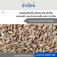 ข้าวไรน์ (แบ่งขาย 500G.-1KG.) อาหารฟอพัส เลิฟเบิร์ด ค็อกคาเทล กรีนชีค นกเขาเล็ก นกแก้วขนาดเล็ก-กลาง ทุกชนิด