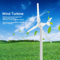 NE‑300S11 300W Wind Turbines Generator Kit Aerogenerator with Controller Accessory