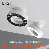 BRGT พื้นผิวติดตั้งดาวน์ไลท์สปอตไลท์ปรับมุมได้12W Floodlight สีขาวสีดำเติมแสงซังโคมไฟเพดานอลูมิเนียม Foco *