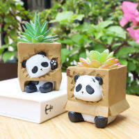 Naughty Panda ดอกไม้หม้อสร้างสรรค์น่ารักเนื้อ Succulent Bonsai Planter เรซิ่นตกแต่งในร่มหม้อผู้ถือปากกาเด็ก Gift