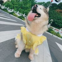 Dog Dress Summer Breathable Plaid Skirt Pet Clothes for Medium Large Dogs Labrador Golden Retriver Large Dog Dress Pet Supplies Dresses