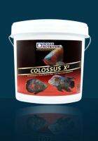 อาหารปลาน้ำจืด ยี่ห้อโอเชี่ยน นูทริชั่น  Colossus X² (Floating) 2kg  เม็ดลอย ขนาด 2กิโลกรัม