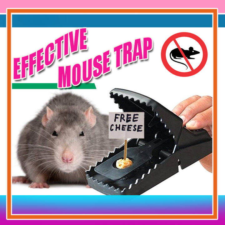 Mouse Rat Traps High Sensitive Snap Big Plastic Mouse Trap Rodent ...