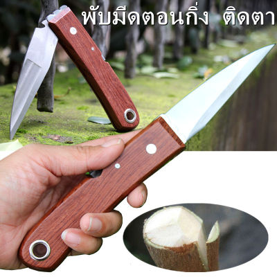 พับมีดตอนกิ่ง ติดตา ชำกิ่ง มีดแต่งบอนไซ ด้ามไม้ ใบสแตนเลสใช้เสียบยอด Knife ติดตาแต่งเขียง แต่งแผลต้นไม้และต้นบอนไซ วัสดุทำจากใบมีดสแ