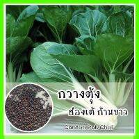 พร้อมส่ง ❗❗ รหัส 013 เมล็ดพันธุ์แท้ OP กวางตุ้งฮ่องเต้ก้านขาว - Canton Pak Choi  มีผลผลิตตลอดทั้งปี ปลูกง่ายมาก ชอบแดดจัด โตไว บล็อคฉ่อย