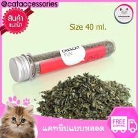 Cat Accessories Catnip หญ้าแมว ขนมแมว แคทนิปแมว ชนิดแห้ง แบบผง ขนาด 40ml 1 หลอด อาหารแมว อุปกรณ์แมว เลี้ยงแมว ส่งฟรี ช่วยให้แมวมีความสุข แมวฟิน