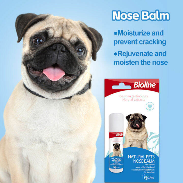 Nose balm Bioline nose balm Pet nose cream moisturizing nose cream 20ml dog moisturizing nose