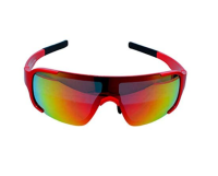 Cricket Sunglass DSC