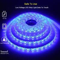 Led strip 5050 300Leds High Bright Flexible Led tape Lamp Warm White Cold WhiteBlue Led lights for room decor DC12V 24V