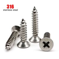 10/50X M2 M3 M4 M5 M6 High Quality 316 A4-80 Marine Grade Stainless Steel Phillips Flat Countersunk Head Self Tapping Wood Screw Nails Screws  Fastene