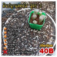 สูตร 2 ดินปลูกแคคตัส //ขนาด 500-1000 กรัม -- เหมาะกับ ไลทอป กุหลาบหิน ไม่ผสมสารเคมีกันเชื้อรากันแมลง ปลูกกระบองเพชร