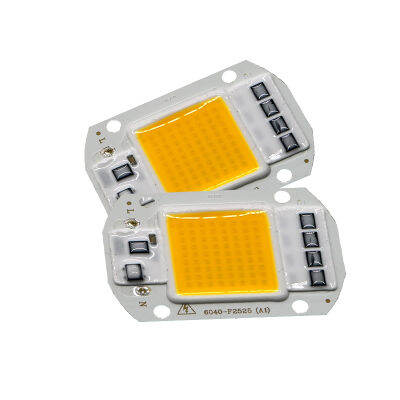 5pcslot Smart IC High Power LED Matrix For Projectors 20W 30W 50W DIY Flood Light COB LED Diode Spotlight Outdoor Chip Lamp