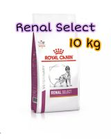 Royal Canin Renal Select Dog 10 kg โรคไต ซีเล็คสุนัข