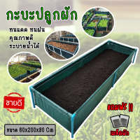 กะบะปลูกผักสำเร็จรูป พร้อมโครง PVC 1 นิ้ว ขนาด 60x200x30 cm