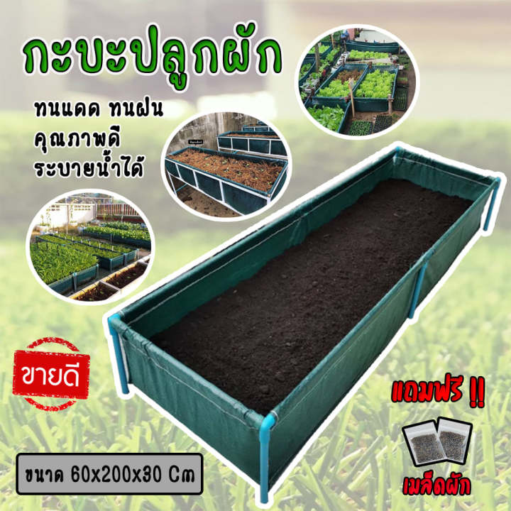 กะบะปลูกผักสำเร็จรูป-พร้อมโครง-pvc-1-นิ้ว-ขนาด-60x200x30-cm