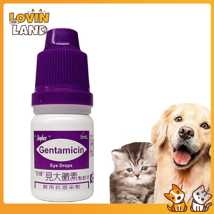 Lovinland SINPHAR GENTAMICIN Eye Drops for Pet Prevent Irritation