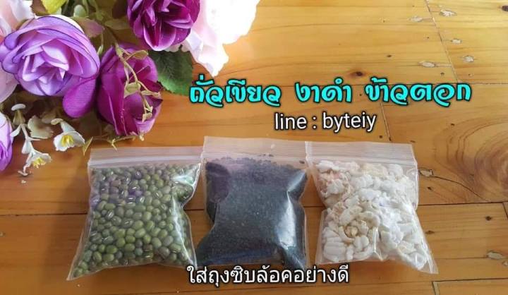 พิธีส่งตัวเข้าหอ-ชุดส่งตัวเข้าหอ-ชุดa-ไม่มีไม้เท้า-มีเก็บเงินปลายทาง