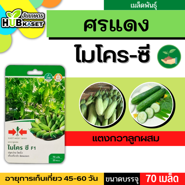 ศรแดง 🇹🇭 แตงกวาลูกผสม ไมโคร ซี ขนาดบรรจุ 70 เมล็ด อายุเก็บเกี่ยว 45-60 วัน