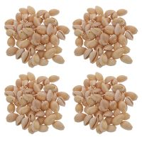 200Pcs Shell Beads for Women Jewelry Bracelet Necklace Earring Making DIY Gift for Friends