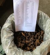 1 kg Nấm Ngọc Cẩu - rừng thiên nhiên - Có Tặng Quà