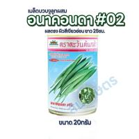 เมล็ดบวบงู อนาคอนดา 02 ขนาด 20กรัม ทนโรค โตเร็ว ติดดก