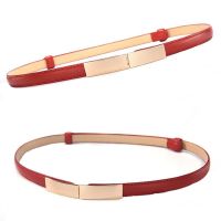 BLISS Wild Thin Waistband Elegant Dress Strap Waist Belts Women Elastic Buckle Fashion Female Skinny Simple Pu Leather BeltMulticolor