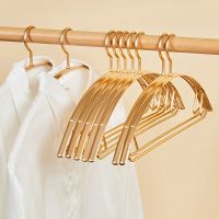 5pcs Clothes Hanger Anti Slip Seamless Aluminum Alloy Clothing Drying Rack Wardrobe Organizer Drying Rack for Coat Pants Hangers Clothes Hangers Pegs