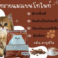 Cattieecat cappuccino 10L