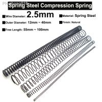 5Pcs Wire Diameter φ2.5mm Spring Steel Compression Spring Long Pressure Spring OD 12mm 40mm Free Length 55mm 100mm