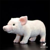 648หมูสีชมพูความคมชัดสูงอะนิเมะน่ารักลูกศรหมู Plushie Hog ของเล่นตุ๊กตาเหมือนจริงสัตว์จำลองตุ๊กตาของเล่น Kawai Gifts546