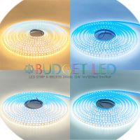 LED STRIP, K-BB2835-120 DC-24V IP20 ไฟแอลอีดีเส้นแบบเปลือย 600LED/5M 60W/5M 5M/Roll ยี่ห้อ BUDGET LED แอลอีดีไฟเส้นสำหรับตกแต่ง ราคาต่อ 1 ม้วน