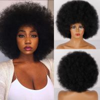 Short Afro Wigs Black Natural Synthetic Wig For Women Heat Resistant Fiber African American Wig Hand Tool Parts Accessories