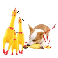 Screaming Dog Squeeze Squeaky Interactive Cleaning Teeth Chew for Dogs Supplies 1pcs