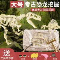 [COD] box archaeological model toy egg gem digging children male dinosaur Tyrannosaurus girl suit skeleton