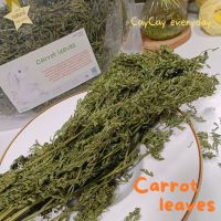 CayCay Carrot leaves premium