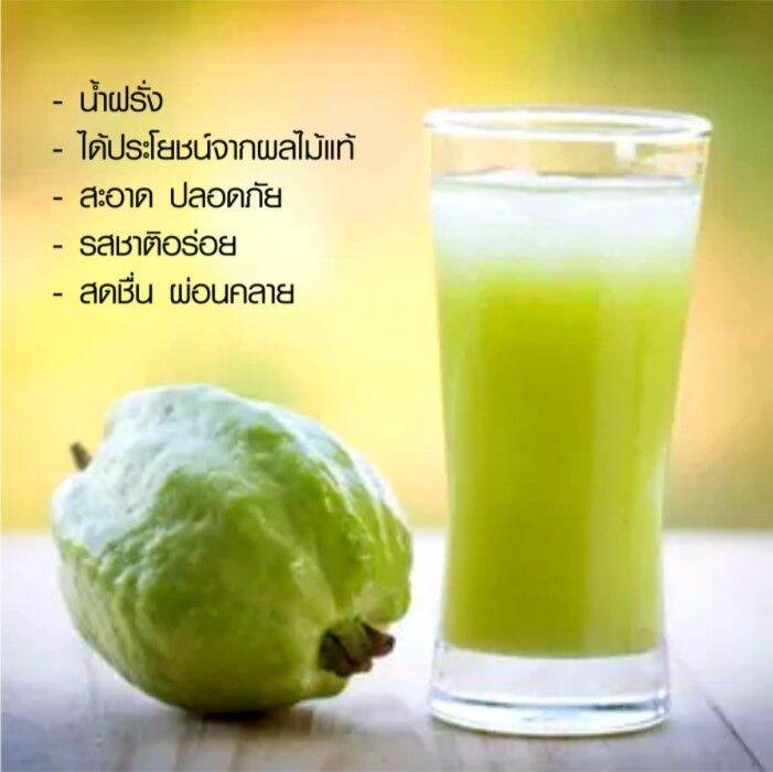 ผงน้ำฝรั่งพร้อมชง-ผงน้ำฝรั่ง-ที่ดีที่สุด-guava-instant-powder-ง่าย-ผสมน้ำอย่างเดียว-ได้ทั้งร้อน-เย็น