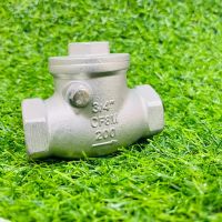 Swing Check Valve (เช็ควาล์ว) วาล์วกันย้อน สแตนเลสแบบสวิง เกรด 316